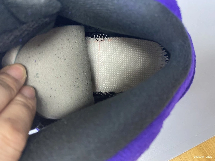 Rep Jordan Air  136027-500 “Alternate Grape” 5 0514